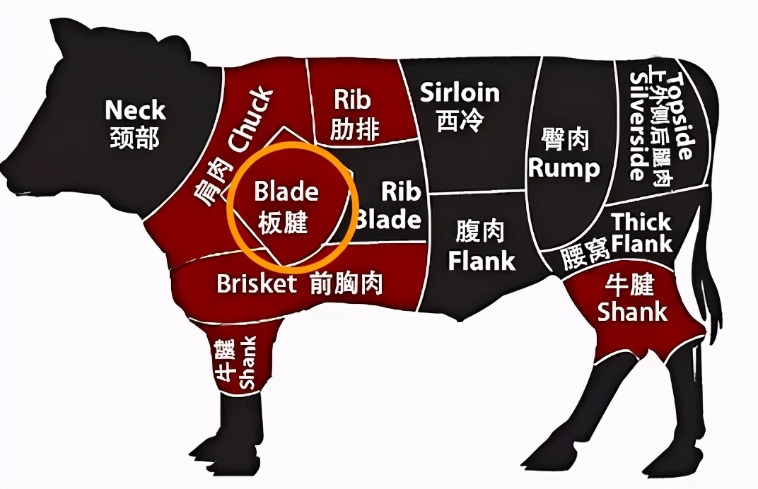 牛牡蛎肉是牛哪个部位 板腱和牡蛎肉是一回事吗