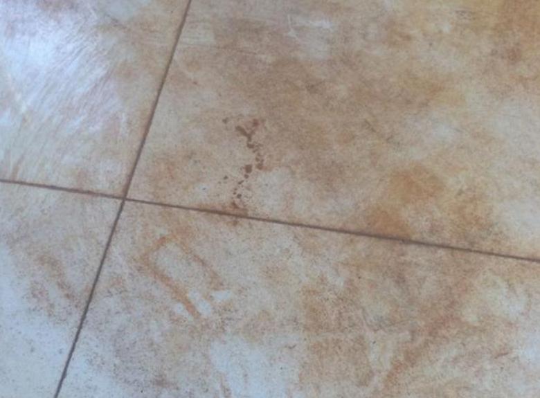 浴室瓷砖污渍去除小窍门 地板砖黑污渍怎么去除